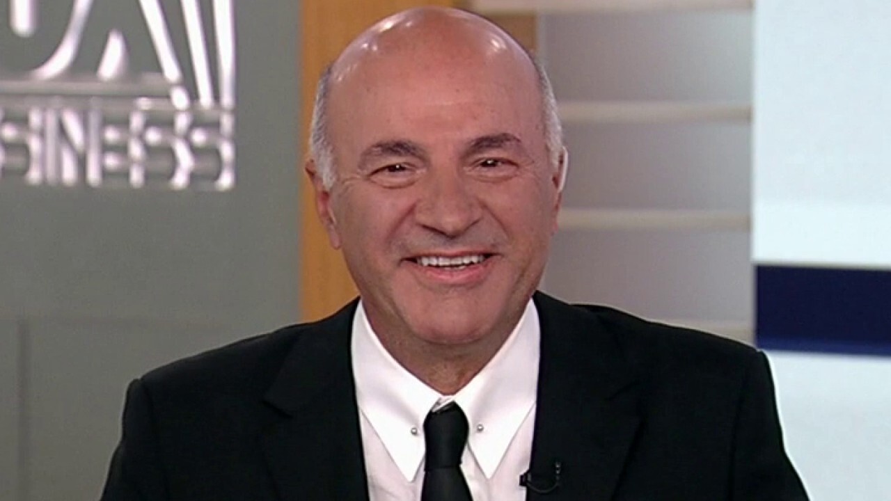  Kevin O'Leary: Energy independence should be a bipartisan elective