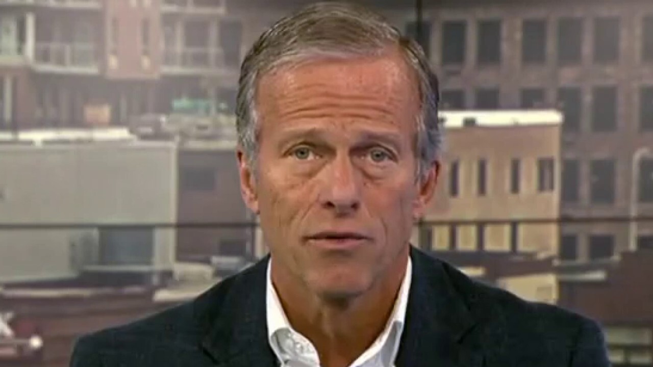 Sen. John Thune, R-S.D., explains how the GOP will reduce inflation if they take back Congress on 'Kudlow.'