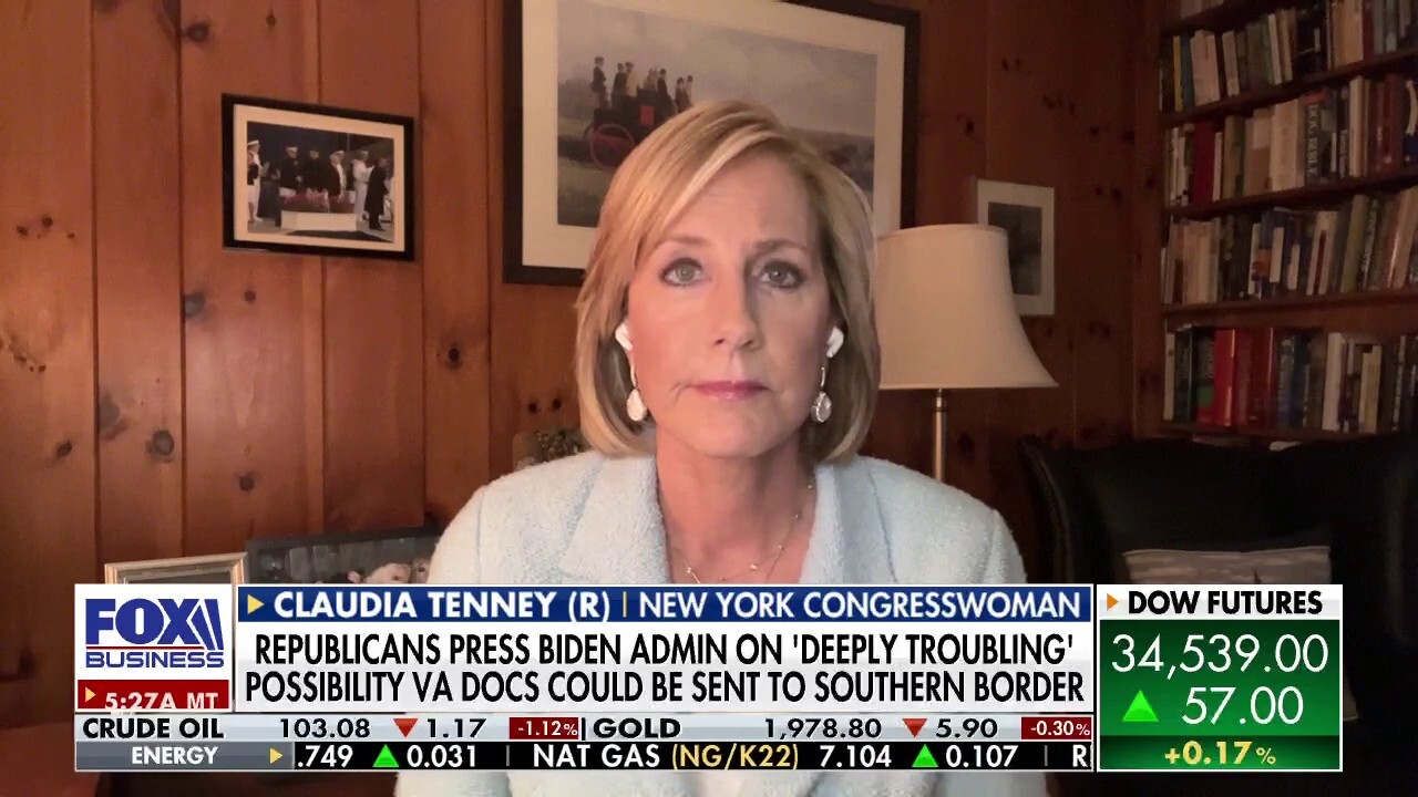 Rep. Claudia Tenney, R-N.Y., provides insight into the migrant surge at the southern border.