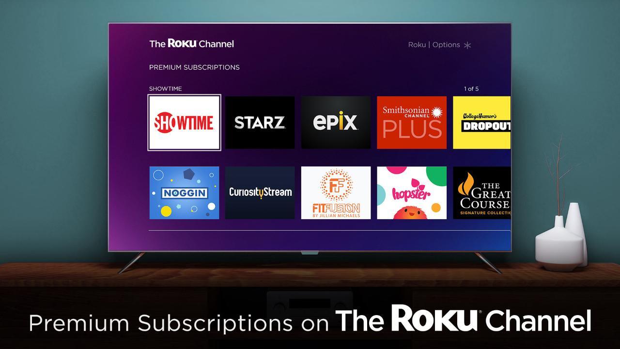 How the traditional TV model is being disrupted by streaming, Roku CEO weighs in