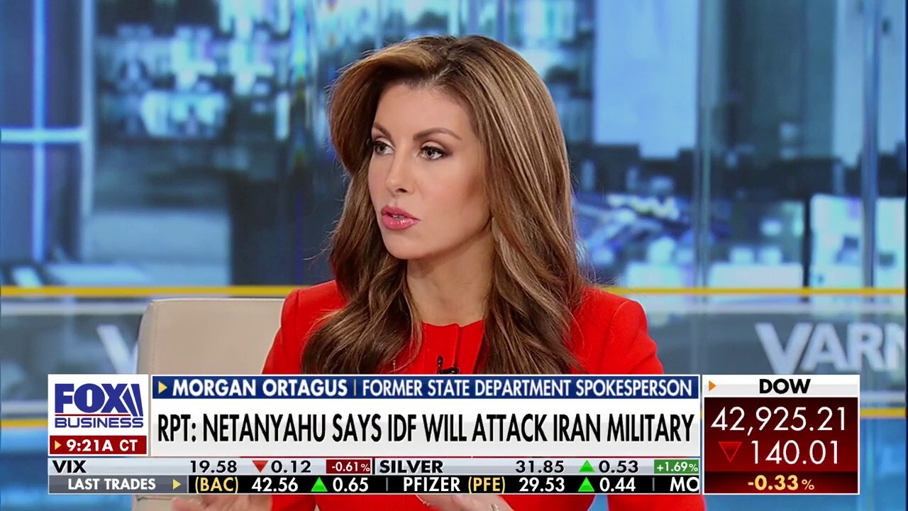 The 'stupidest thing that I've heard is this argument about proportional response': Morgan Ortagus