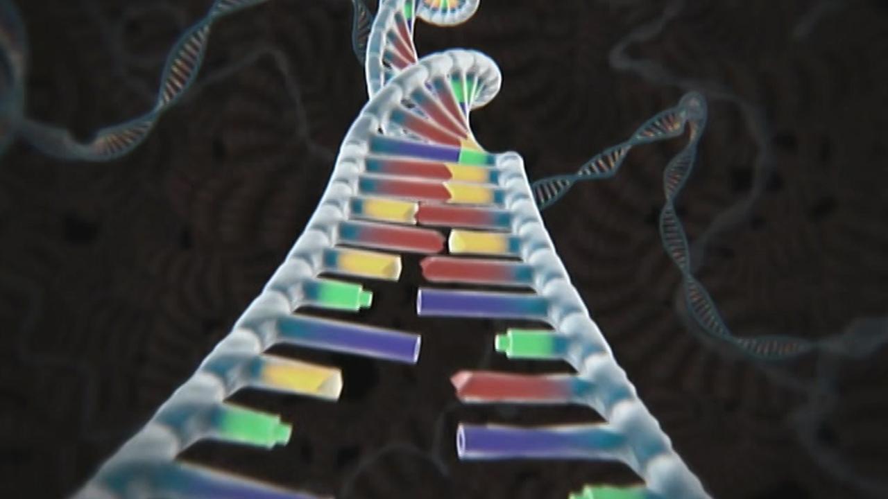 How gene editing works