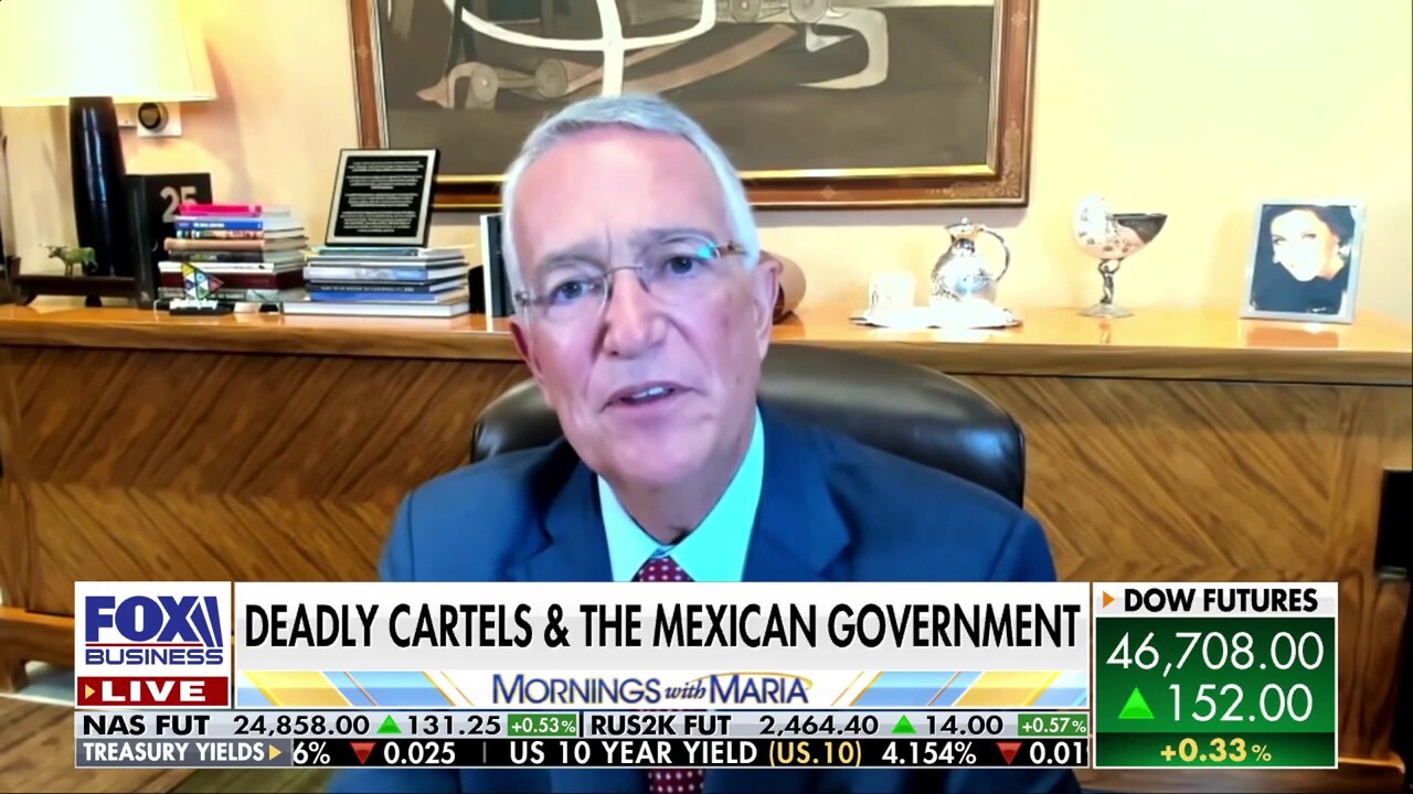 Mexican citizens face rampant insecurity under current regime: Ricardo Salinas Pliego