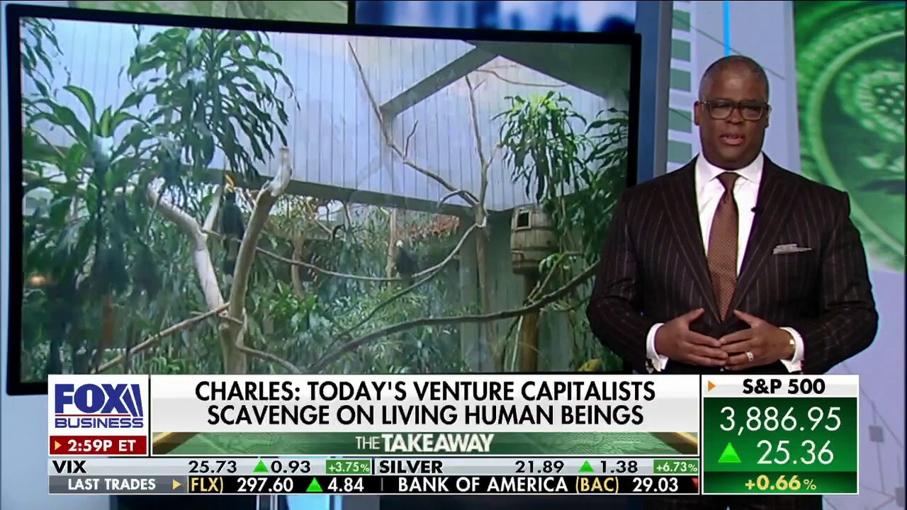 Charles Payne: I began to sour on the venture capital world after the non-stop whining