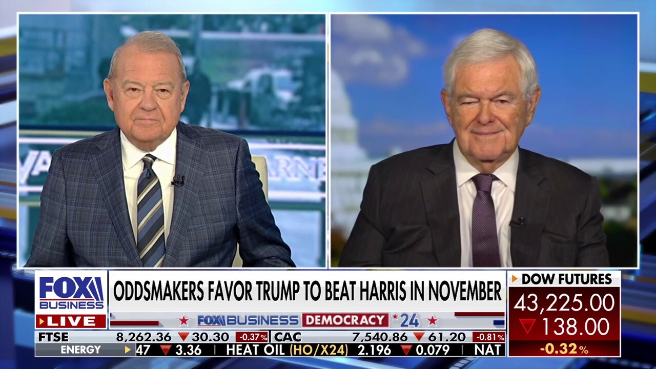 Kamala Harris 'is not ready for primetime': Newt Gingrich