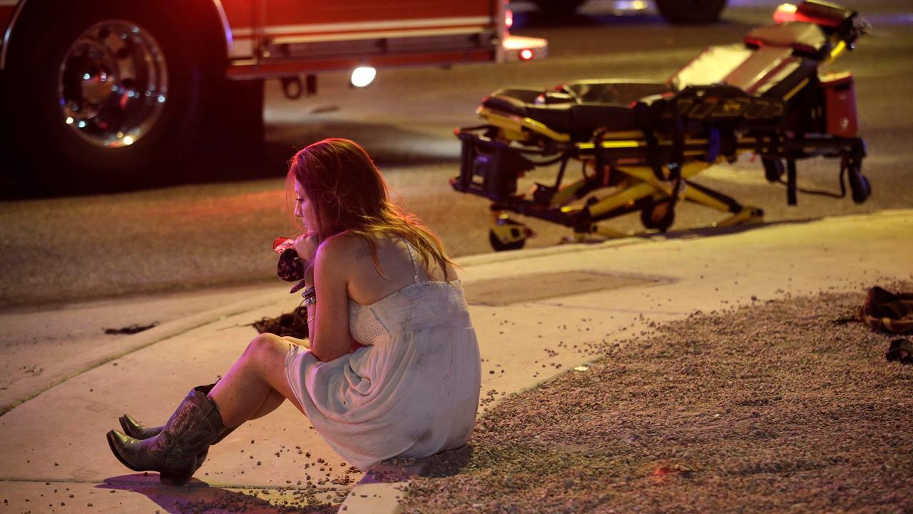 Democrats push gun control after Las Vegas shooting