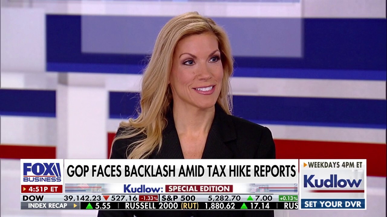 When you incentivize businesses to invest in America, that's when you see higher tax revenues, GOP lawmaker explains