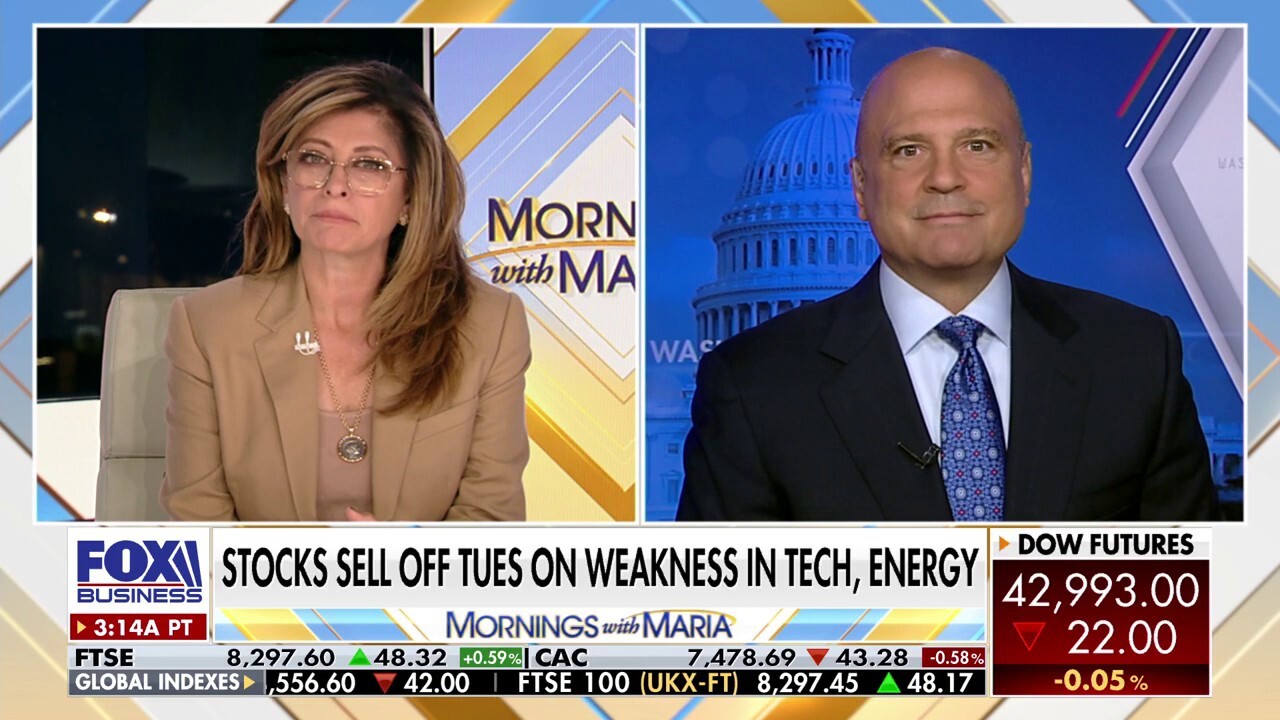 Tariffs won't 'stop what looks to be a reasonably strong economy in 2025': Mark Avallone