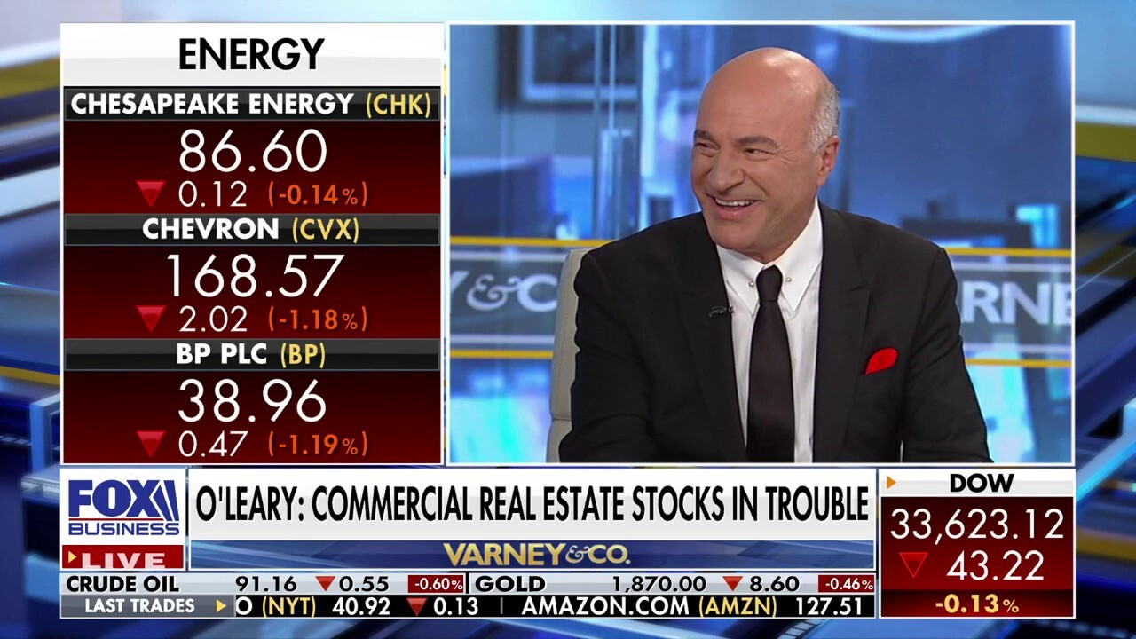 O'Leary Ventures Chairman and 'Shark Tank' investor Kevin O'Leary weighs in on a looming government shutdown, Gary Gensler's digital currency hearing and stocks in trouble.