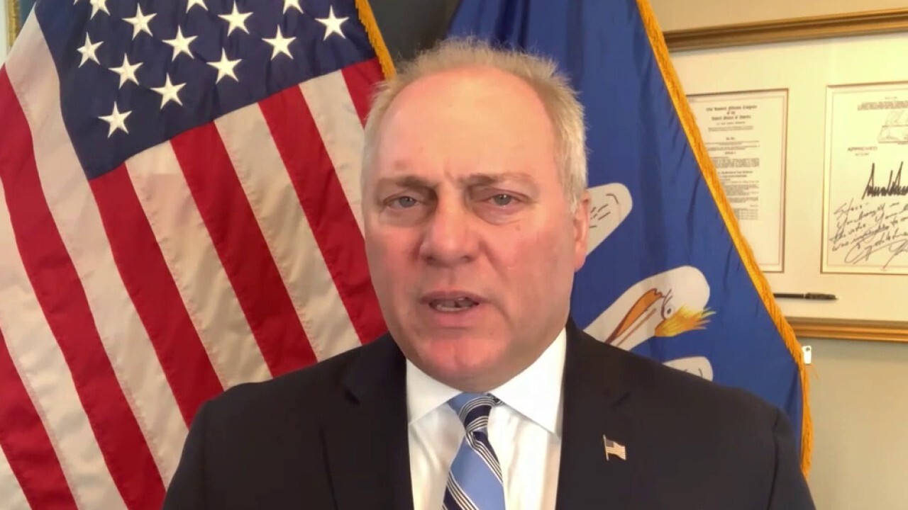 Democrats 'clearly didn't read the message from Virginia': Rep. Scalise