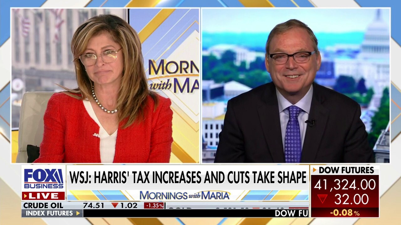 Former White House Council of Economic Advisers Chairman Kevin Hassett weighs in on Vice President Kamala Harris’ controversial tax reform plan on ‘Mornings with Maria.’