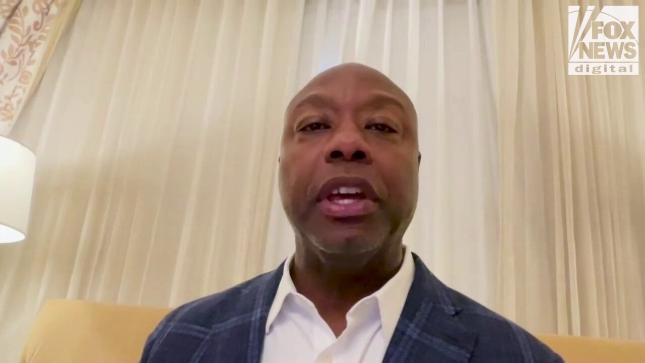 Tim Scott says Americans ‘smarter than Kamala Harris’ on economy in rebuke of price-fixing plan