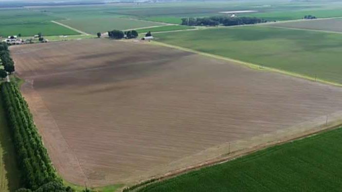 Investors can earn cash yields from renting farmland