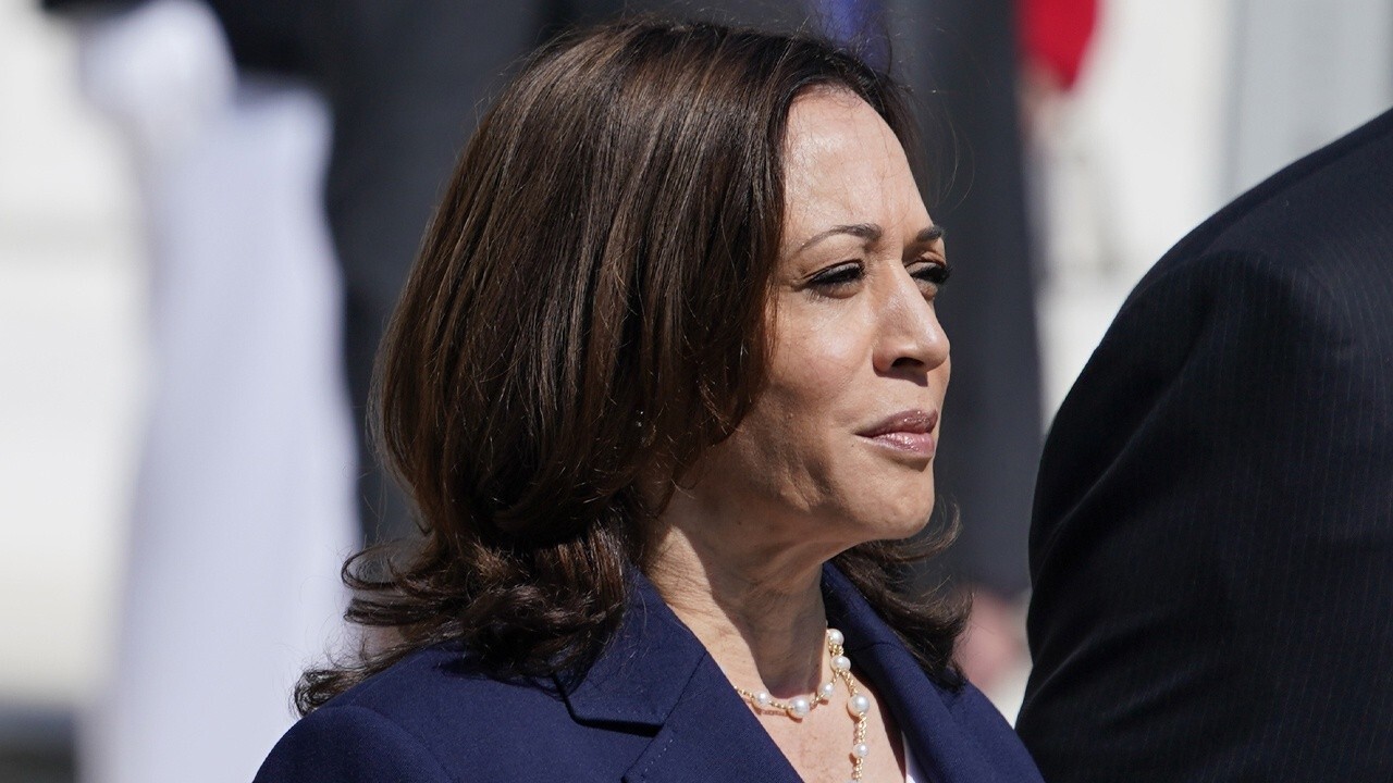 Biden, Harris ‘pressing the reset button’ on immigration approach: Former adviser to Clintons