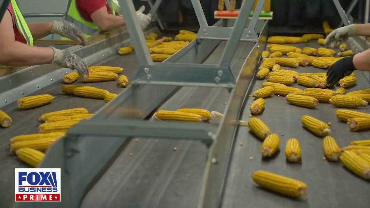 Host Mike Rowe showcases grocery store items containing corn and the men and women keeping this prevalent ingredient in regular supply on 'How America Works.'
