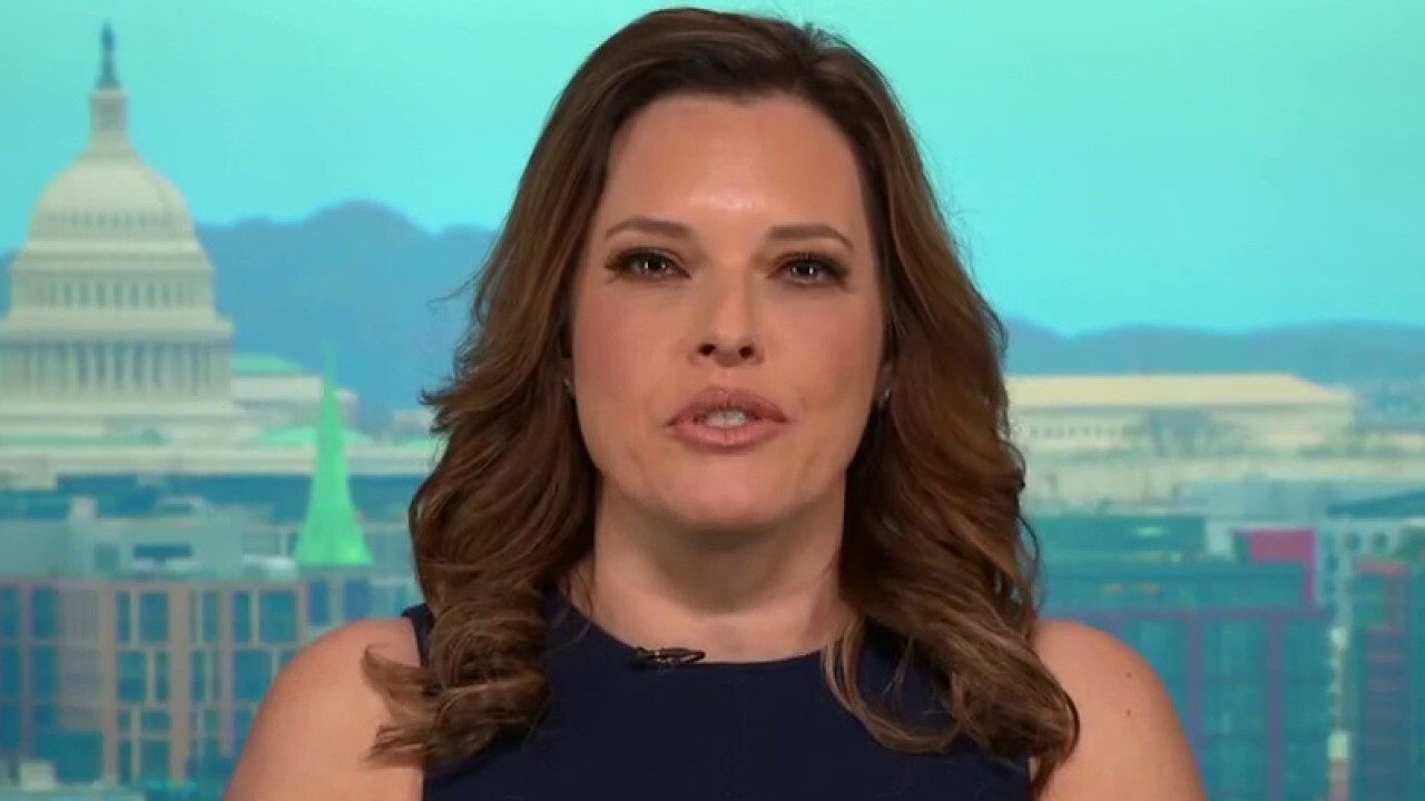  Mercedes Schlapp: This is where the Republicans 'have lost a lot of ground'