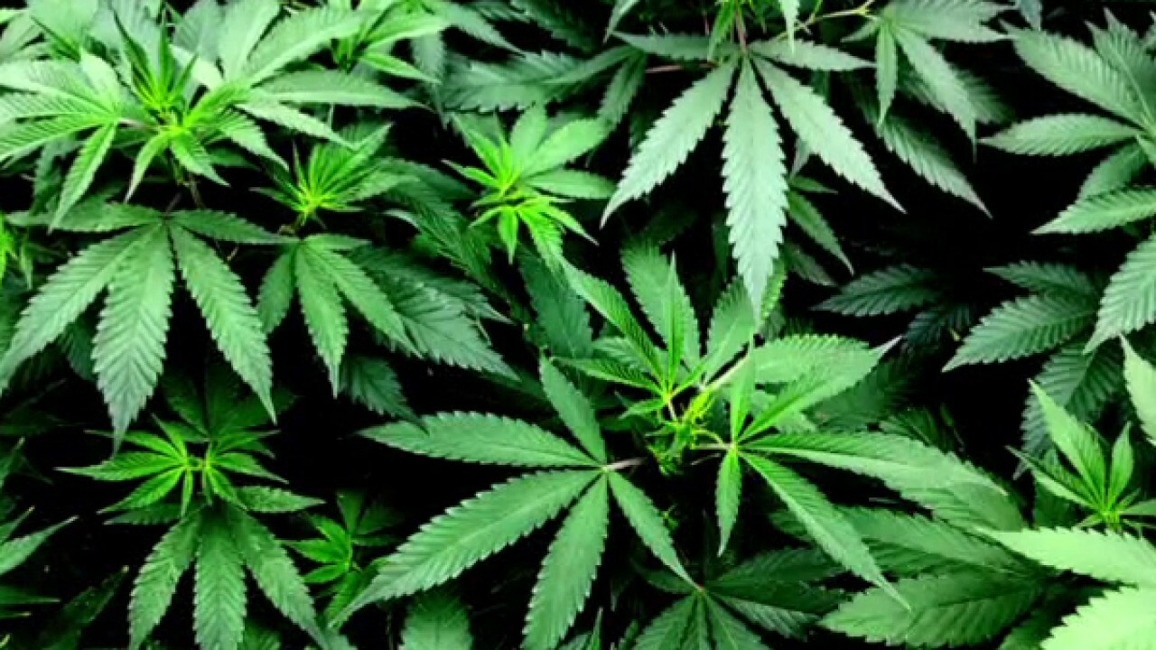  California’s marijuana market heads into a difficult 2022