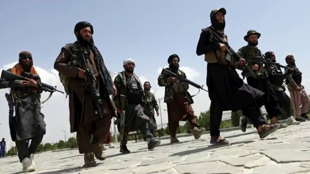 US has 'weak hand' with Taliban: Rep. Meijer