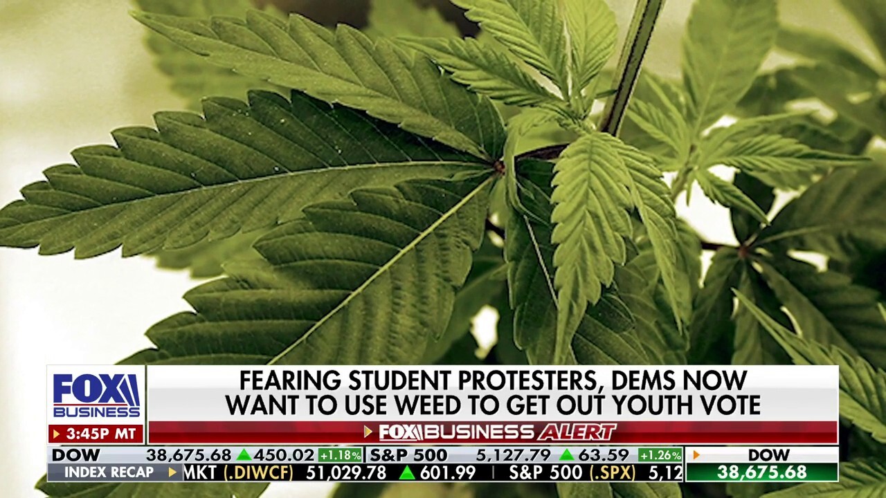 Democrats hope new cannabis policy will draw in young voters