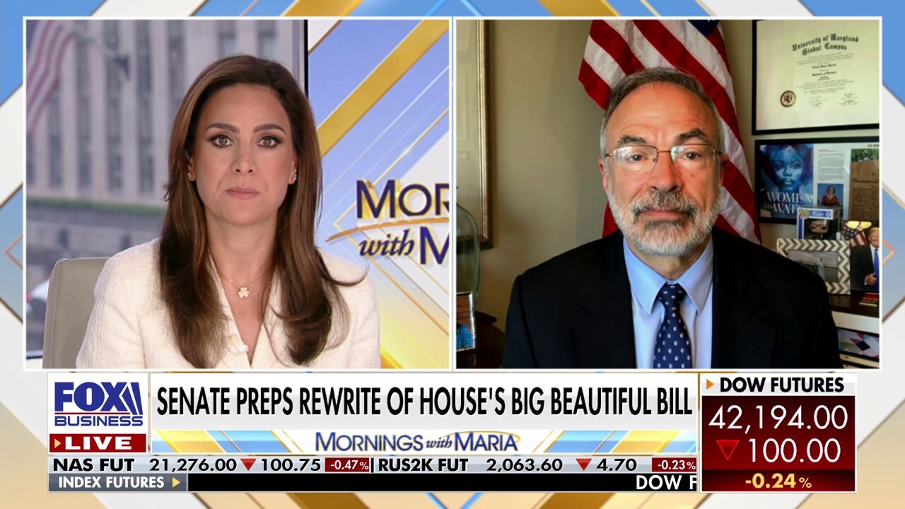 GOP lawmaker says there are 'more savings to be had' in the 'big, beautiful bill'