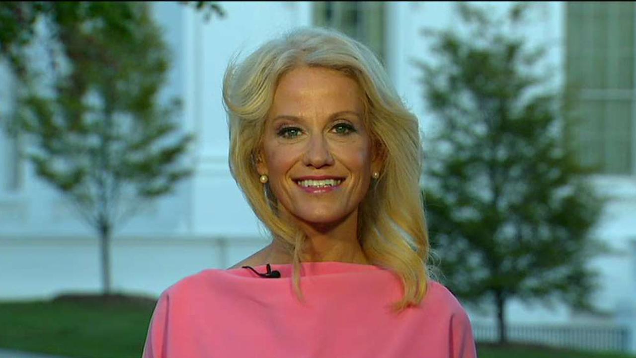 Tax reform plans to spur economic growth: Conway