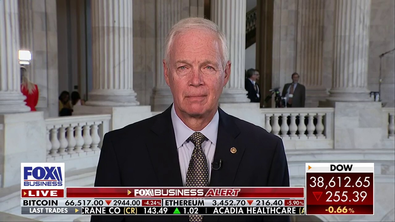 Sen. Ron Johnson on Hunter Biden verdict: This was a ‘slam dunk case’