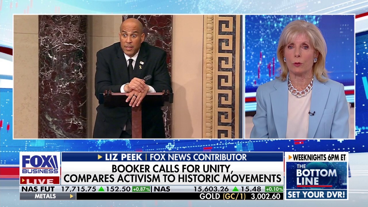 Dems have 'no message' against Trump's tariffs, argues business analyst