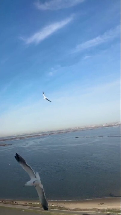 A passenger on a Delta flight from New York City to San Diego filmed a bird near the plane during takeoff moments before the right engine was struck. The plane later landed safely at John F. Kennedy airport. (Credit: @jboottyyy/twitter)
