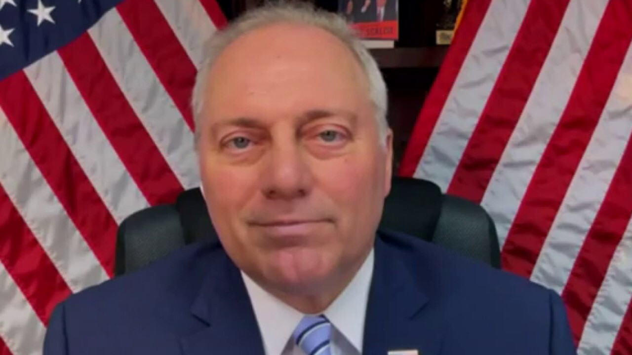  Rep. Steve Scalise, R-La., reacts to the left's response to the Maui wildfires on 'Kudlow.'