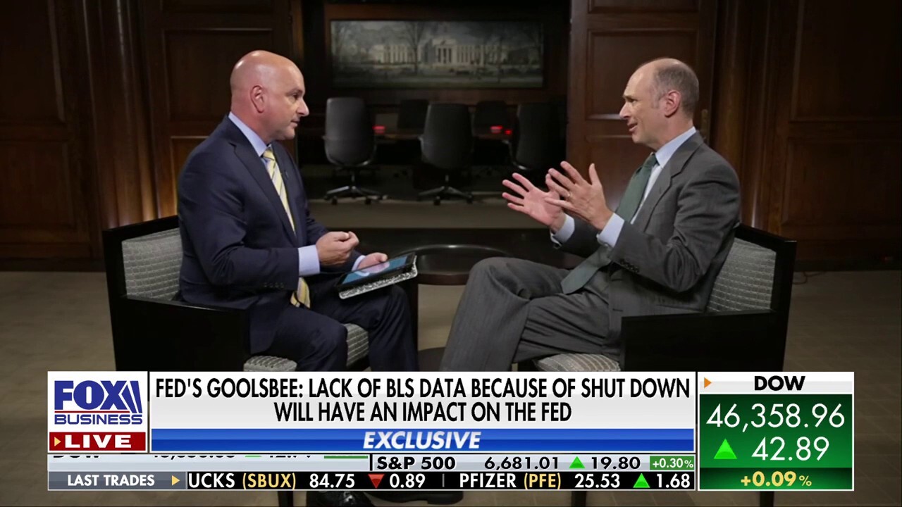 Fed's Goolsbee says central bank has other data options if shutdown disrupts economic reports