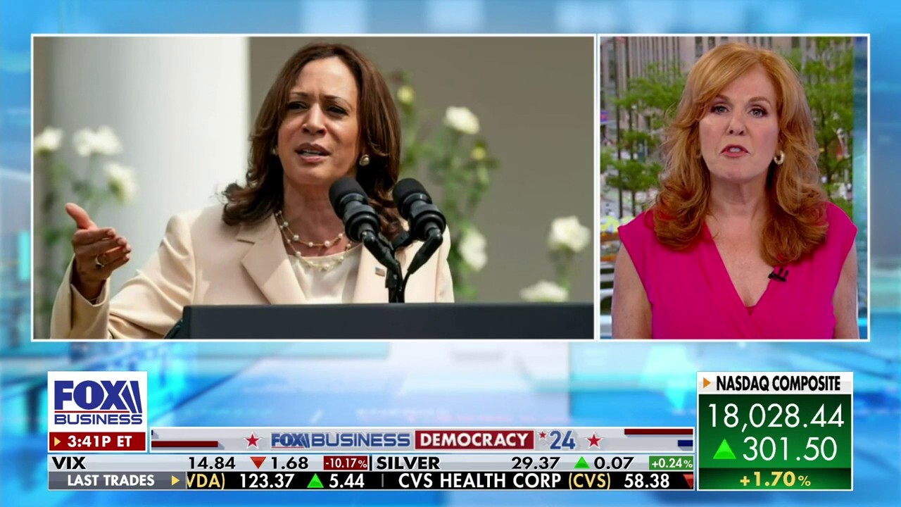 Former FEC chairman discusses if Kamala Harris can access Biden campaign funds