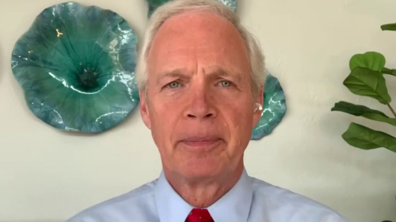Sen. Ron Johnson compares media blackout on border to Communist China
