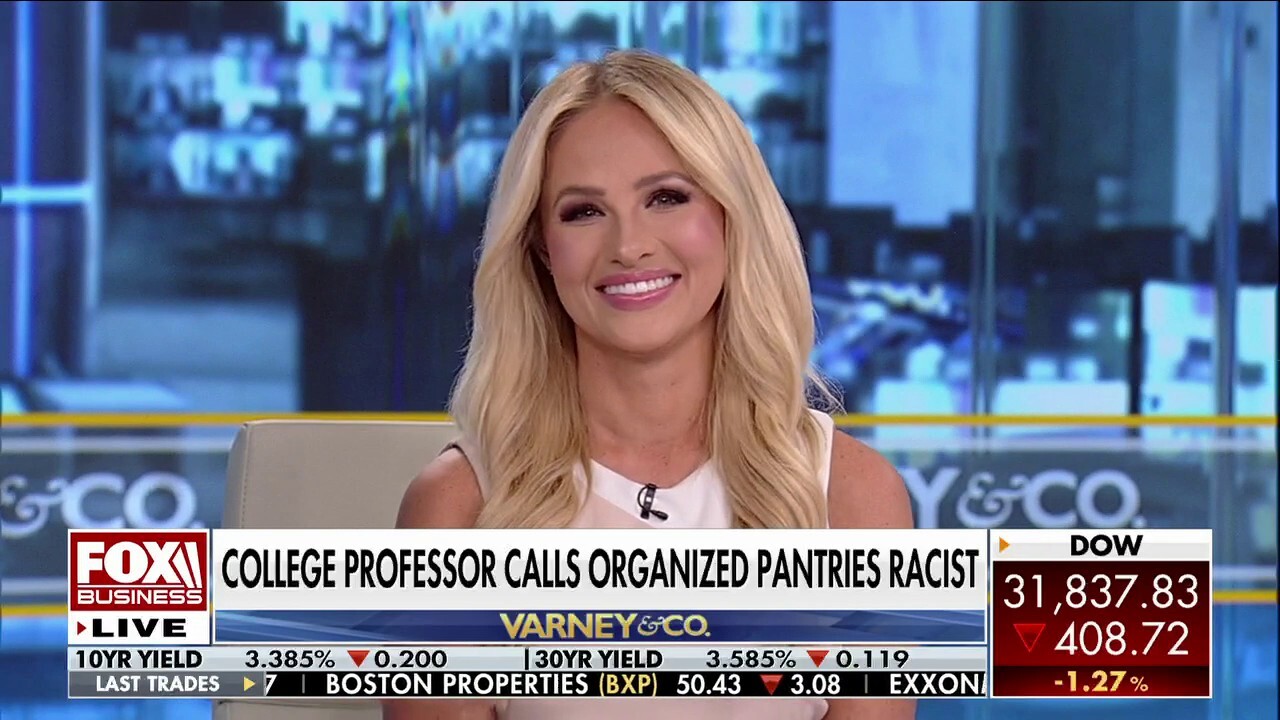 Tomi Lahren rips professor's claim over organized pantries being racist as 'laughable'