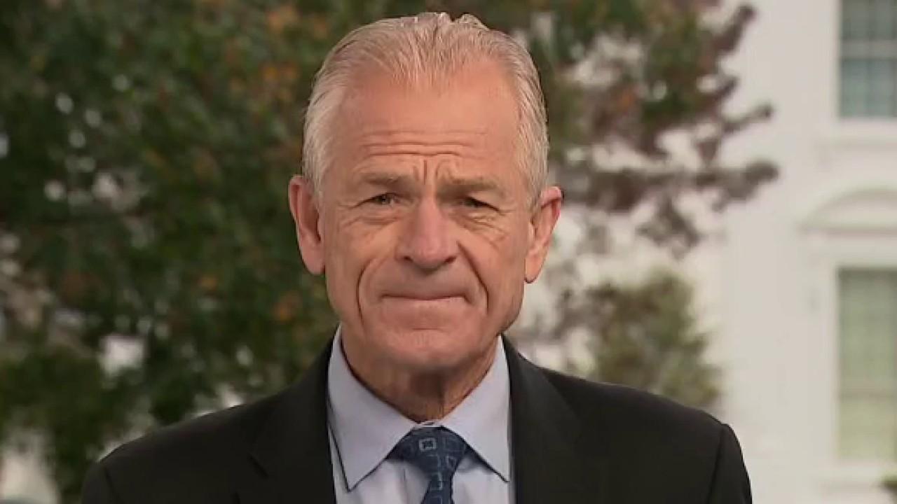 Biden win would cause depression, jobs to leave US: Peter Navarro