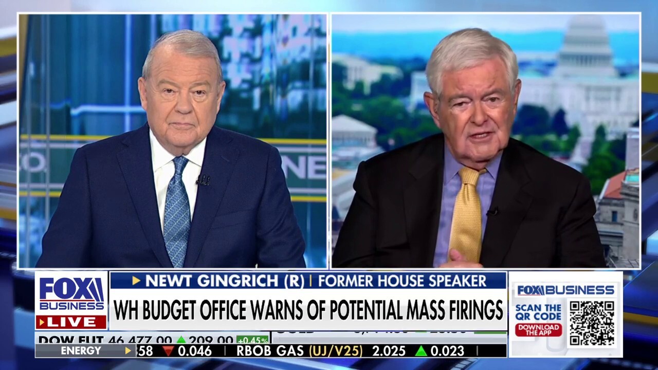 Newt Gingrich: Jack Ciattarelli has a shot of winning NJ governor's race