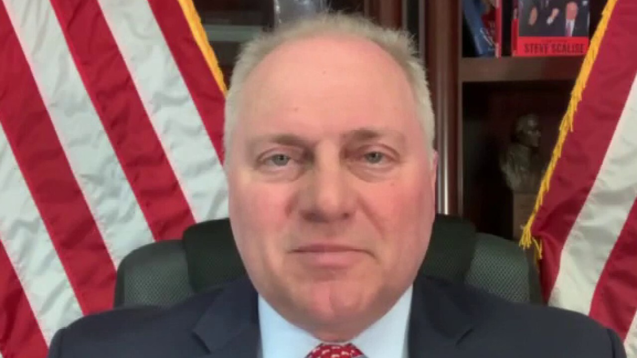 Biden and Pelosi want to fire people who want to work and pay people not to work: Steve Scalise