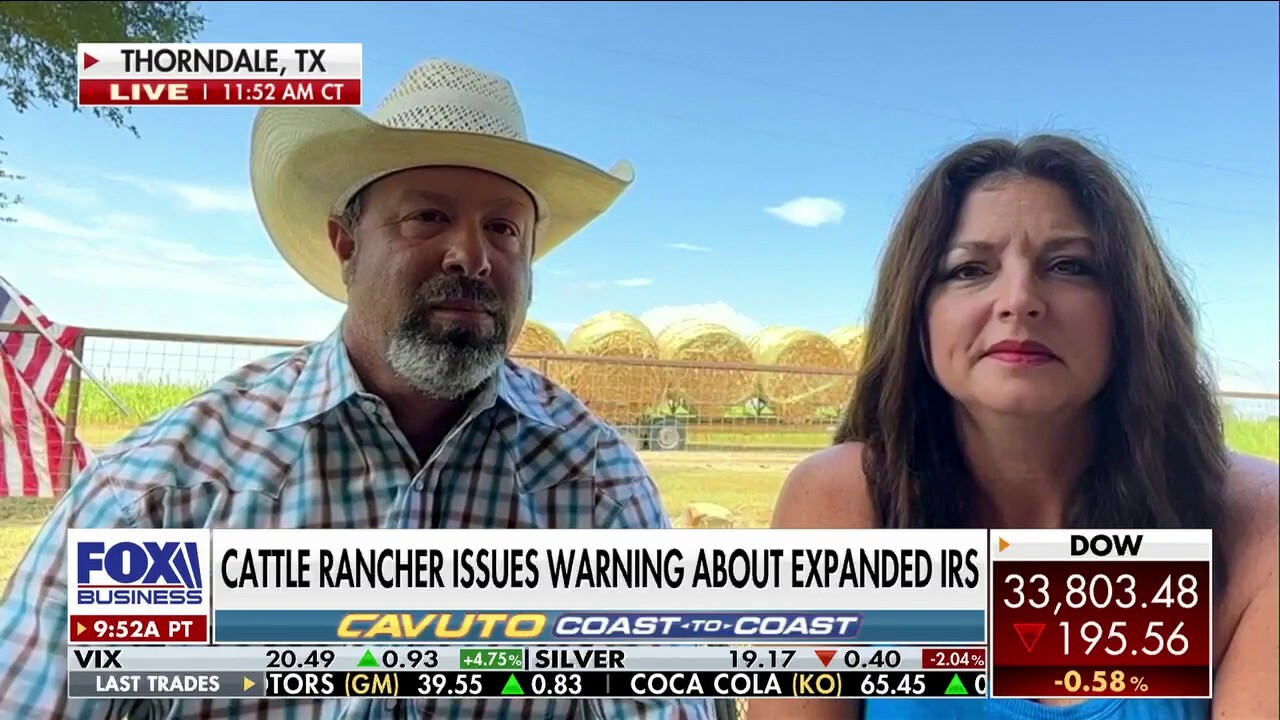 IRS wants to audit ‘soft targets,’ not the ‘big guys’: Texas cattle rancher