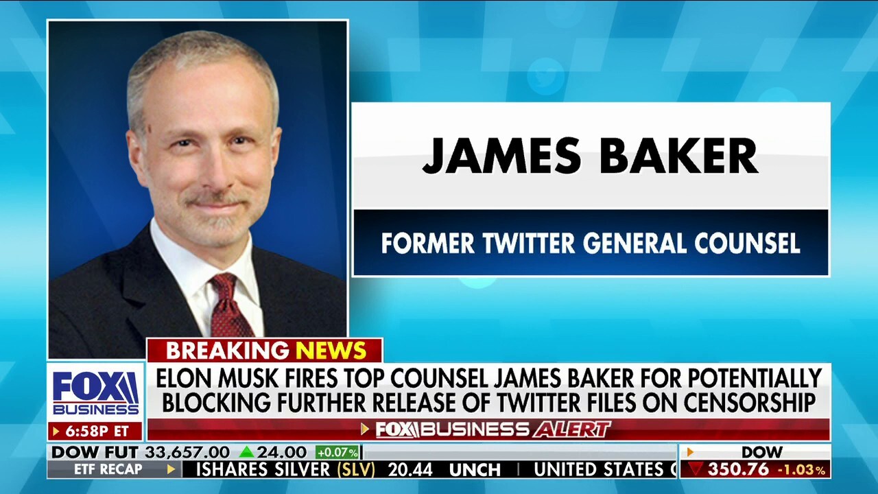 Florida Rep. Greg Steube discusses Twitter CEO Elon Musk firing the company's general counsel James Baker on 'The Evening Edit.'