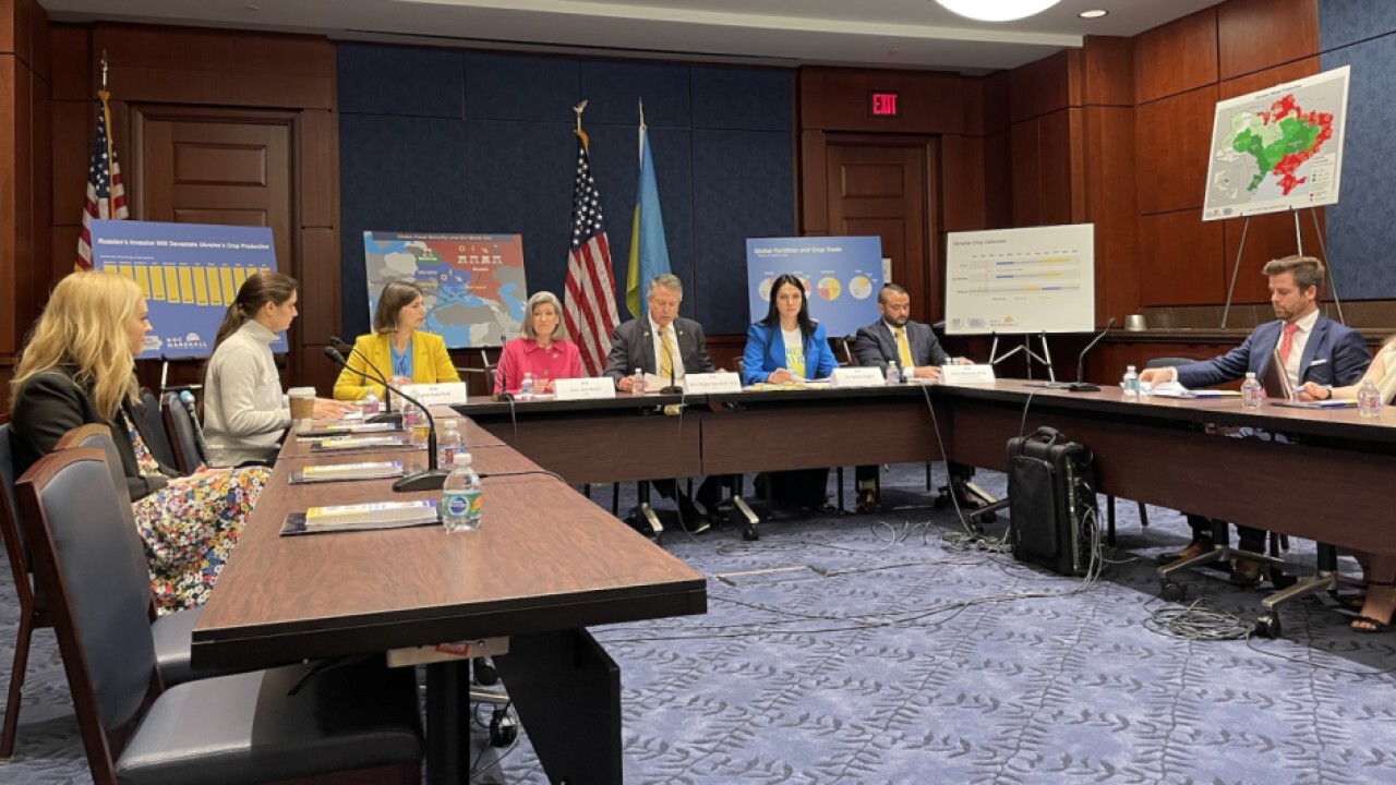Sen. Joni Ernst, R-Iowa, and former Ukrainian Parliament member Hanna Hopko discuss the food security crisis as Russia's invasion threatens production and the importance of Ukraine winning the war.