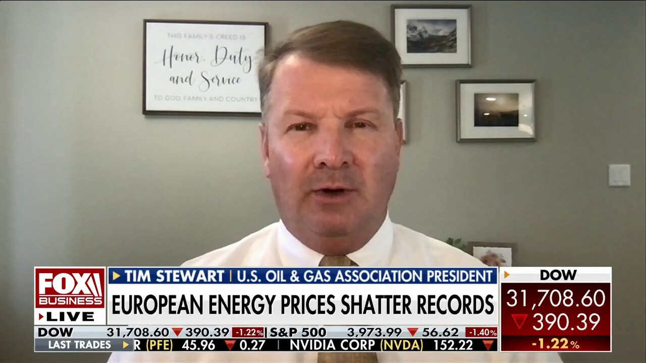 U.S. Oil & Gas Association President Tim Stewart reacts to Europe taking steps to cut energy consumption on 'Cavuto: Coast to Coast.'