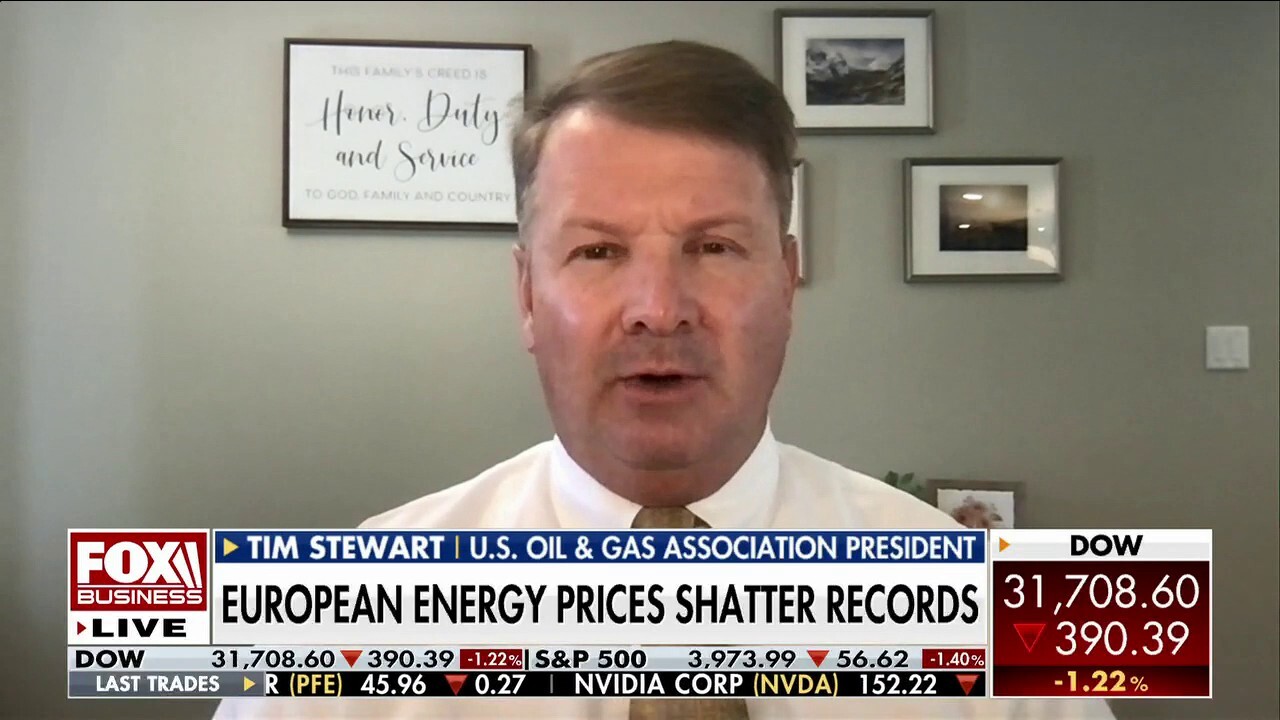 Energy expert warns Biden taking US down same 'price shock' path Europe is facing