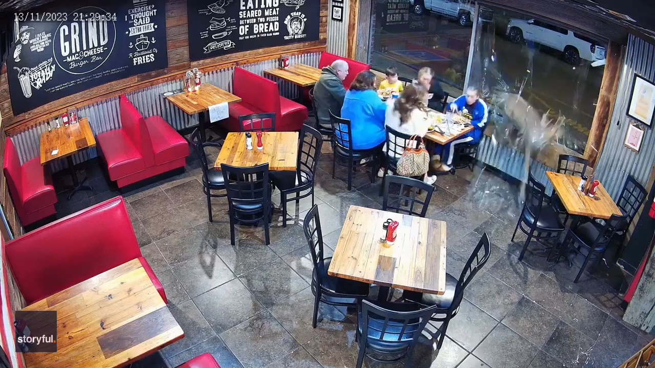 Video shows a family enjoying a meal in a western Tennessee town before a buck comes crashing through a window, injuring a girl. (The Grind via Storyful)