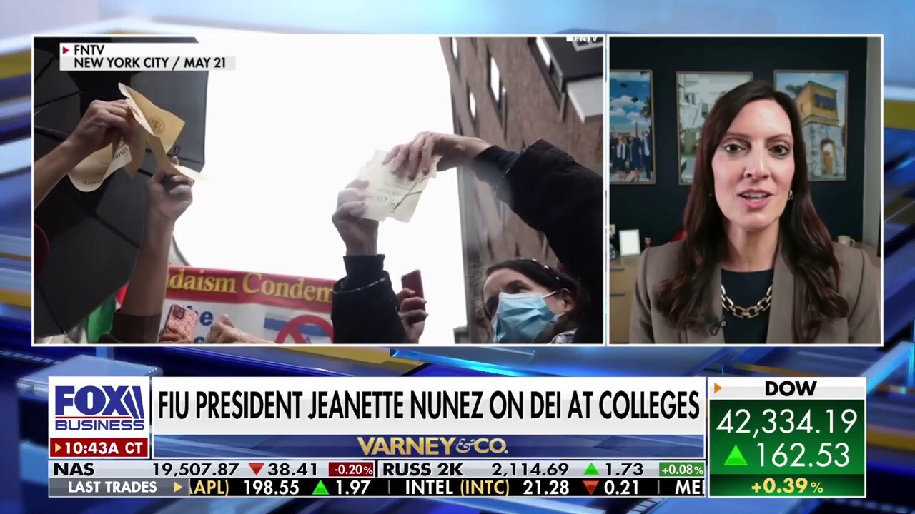 Florida International University President Jeanette Nunez discusses DEI on college campuses on 'Varney & Co. 