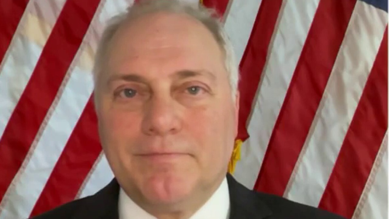 Rep. Steve Scalise on midterms: Americans are going to say they had enough