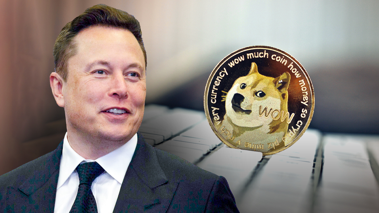 Unknown investor's stock exceeds $11B in Dogecoin