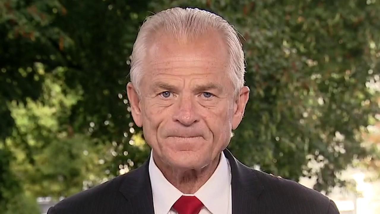 Peter Navarro says Trump administration moved as fast as possible to protect Americans from COVID threat