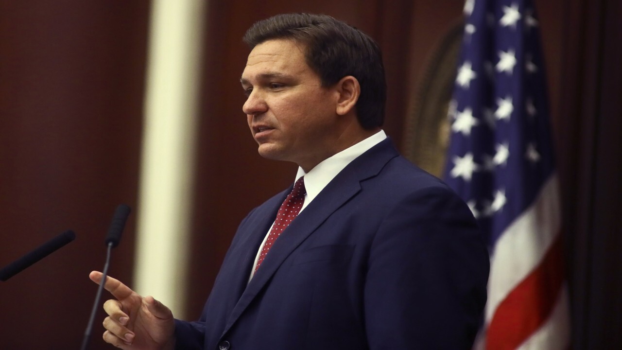 Fox News contributor Kristen Soltis Anderson discusses how Gov. Ron DeSantis helped Florida by keeping the state open amid the coronavirus pandemic. 