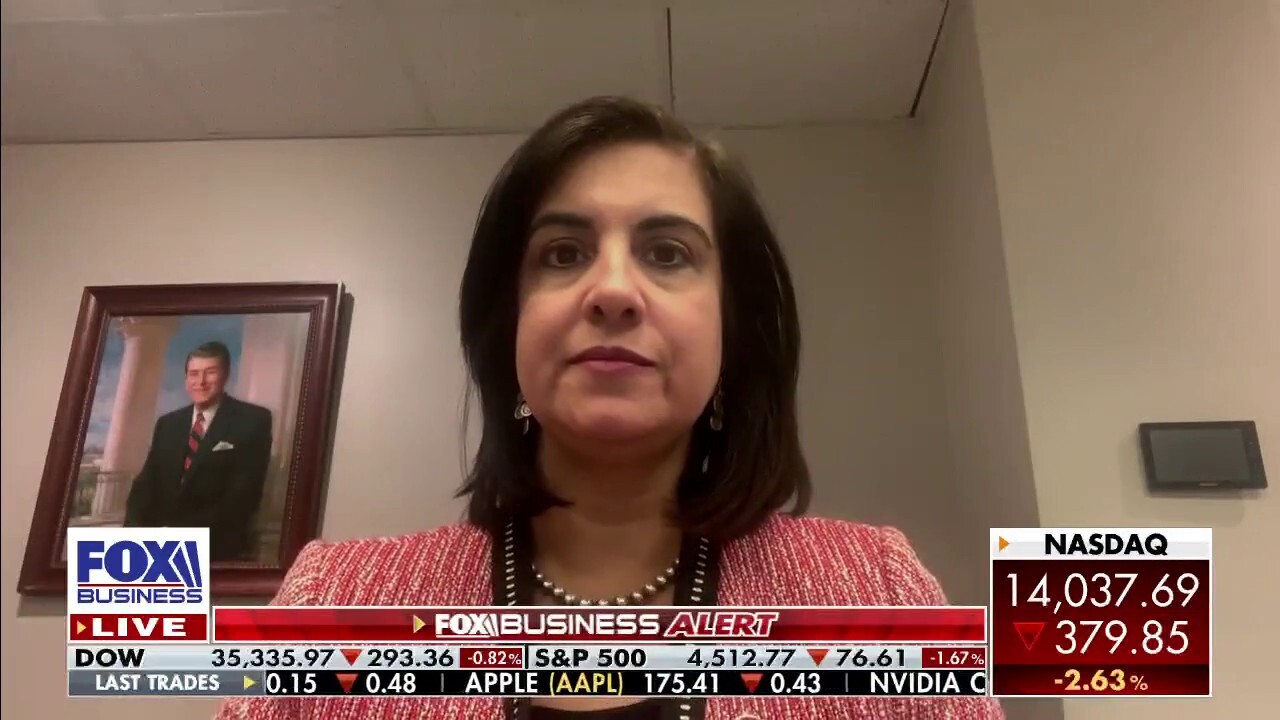 Rep. Nicole Malliotakis, R-N.Y., on New York City Democratic leaders’ handling of the crime surge.