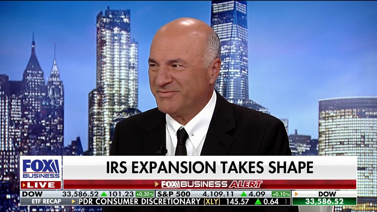 ‘Shark Tank’ star Kevin O’Leary reacts to the IRS’ expansion, saying CEOs should start preparing their records for audits and the agency could be ‘your friend’ with certain programs.