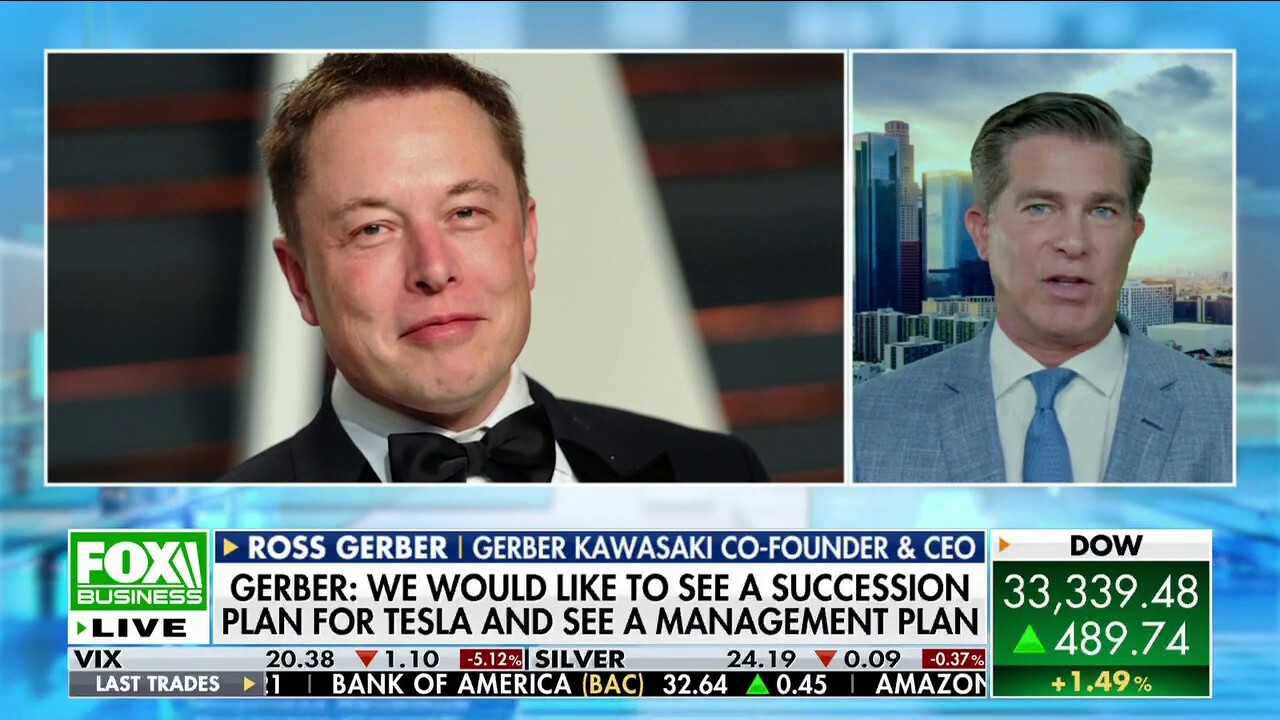 Elon Musk swats at Tesla investor Ross Gerber after criticism